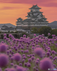 姫路城④