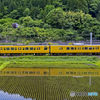クモハ115