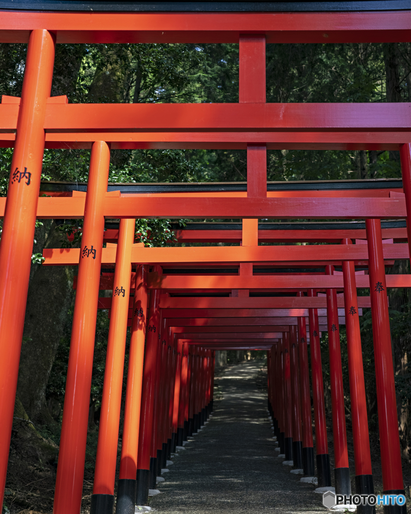 安志加茂神社②
