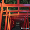 安志加茂神社②