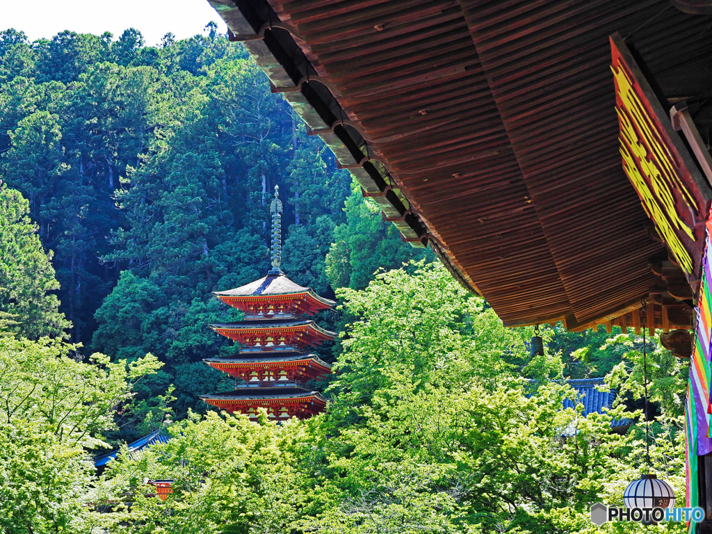 長谷寺③