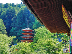 長谷寺③