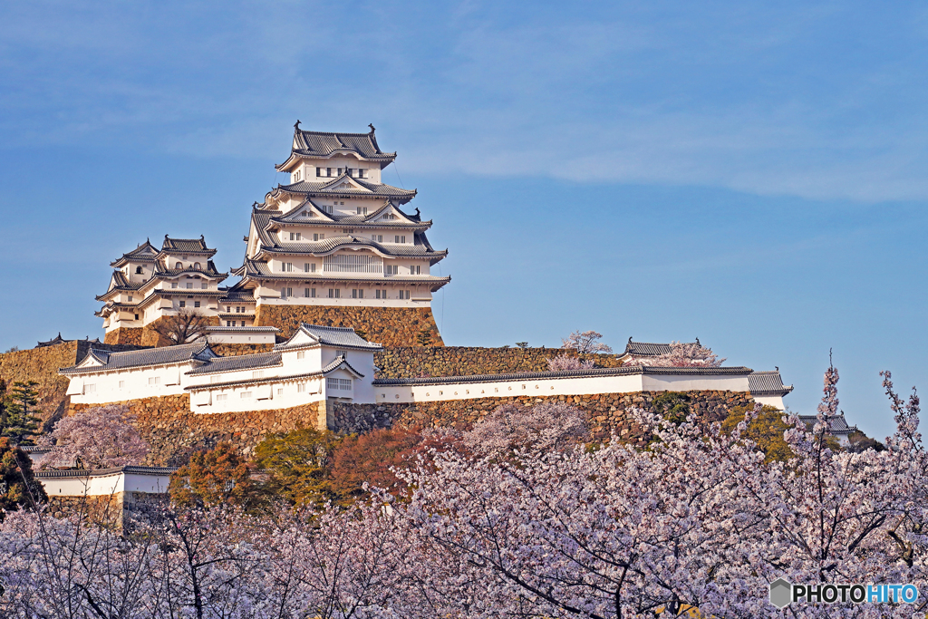 姫路城と桜④