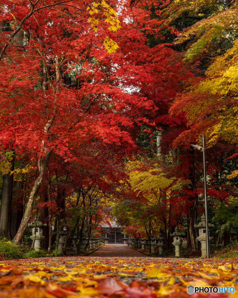 西林寺④