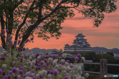 姫路城①