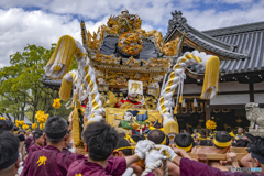 灘のけんか祭り②