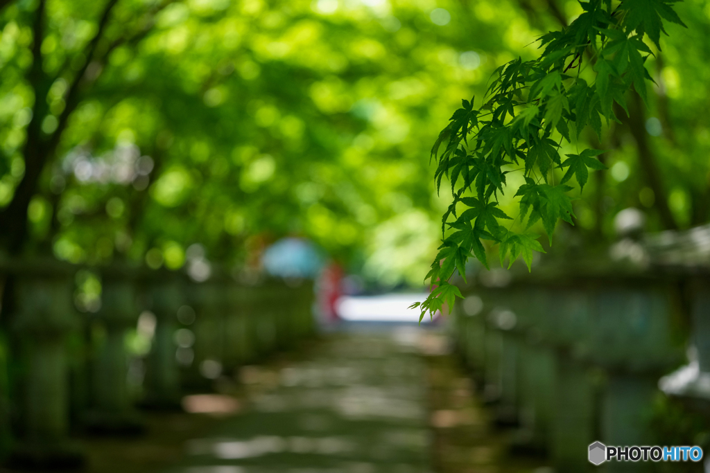 高山寺②
