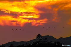 姫路城と夕焼け