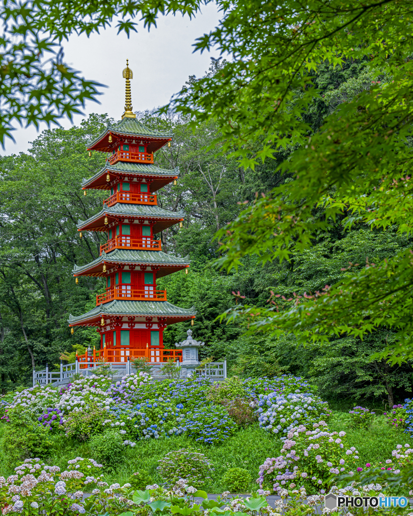 金剛寺2