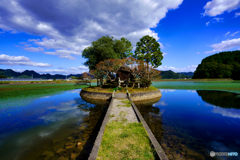 須濱神社