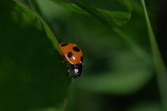 IMGP3878
