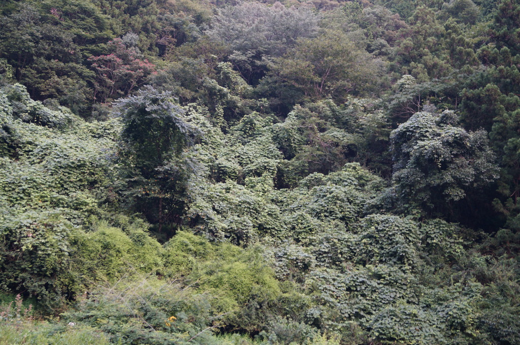 DSC01258