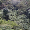 DSC01258
