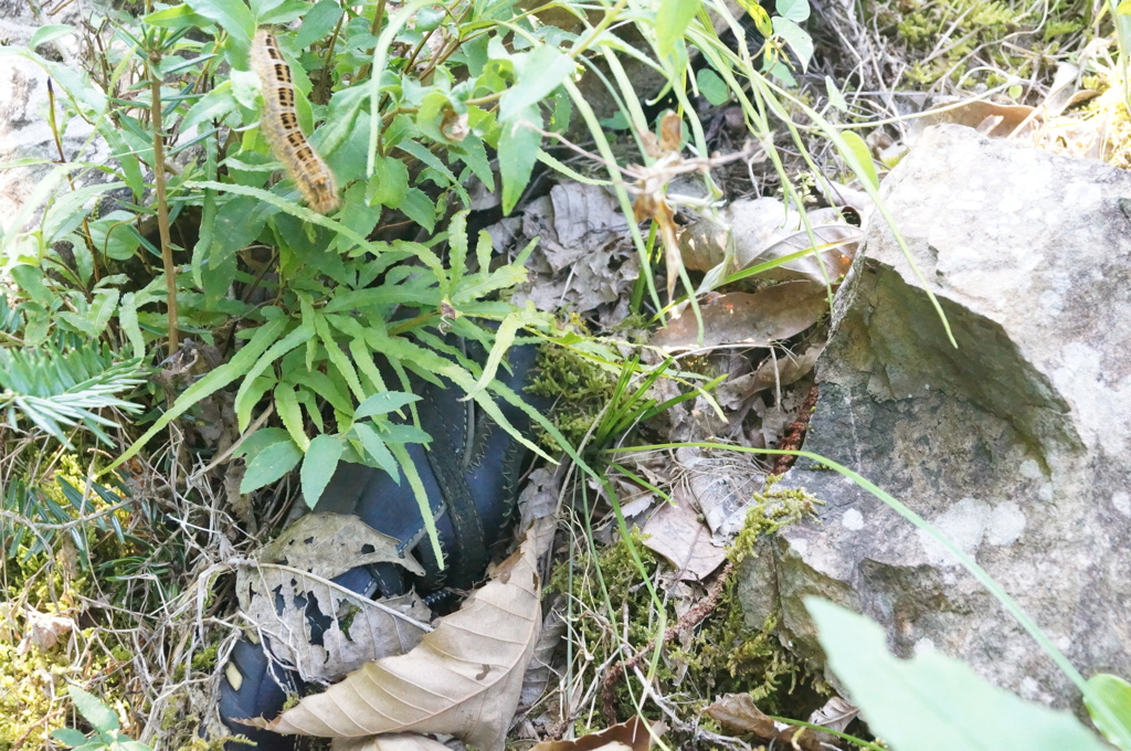 DSC01293