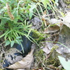 DSC01293