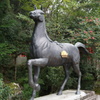 DSC01505