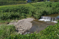 DSC01247