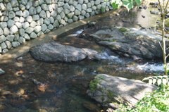 DSC01229
