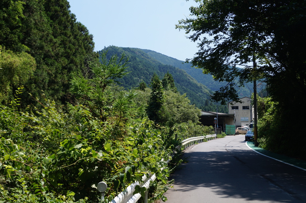 DSC01224