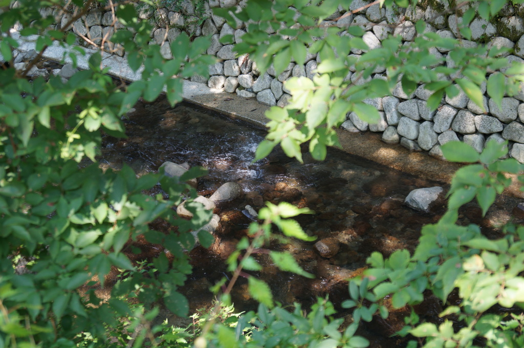 DSC01225