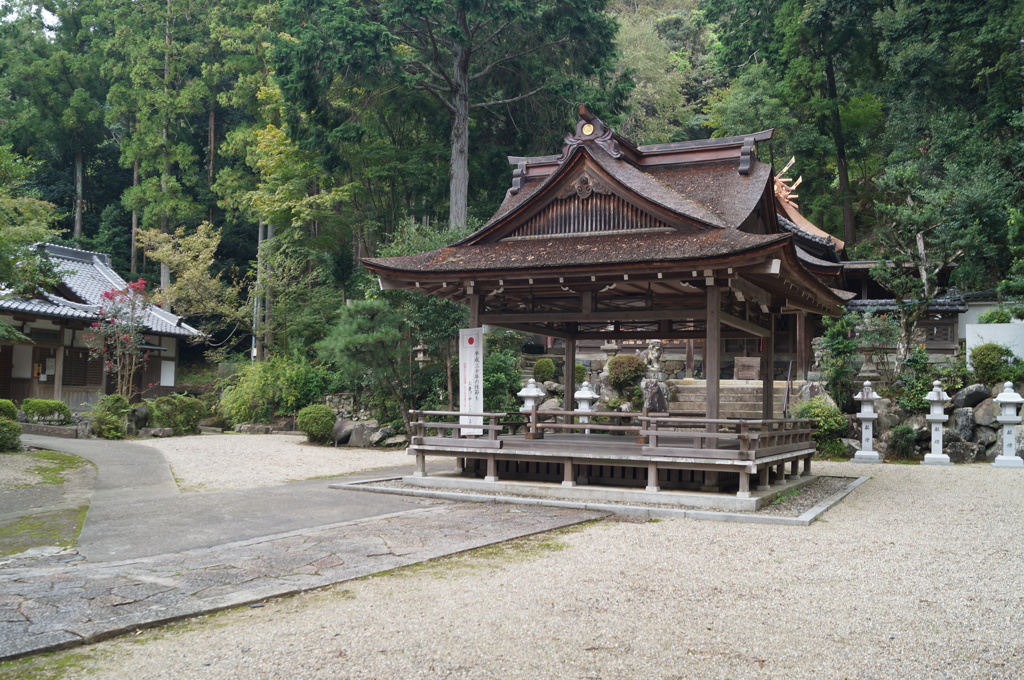 DSC01509