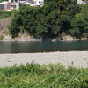 DSC01257