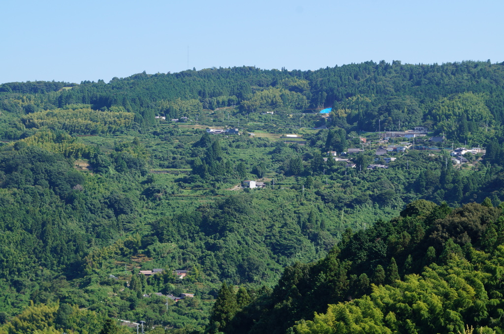 DSC01253