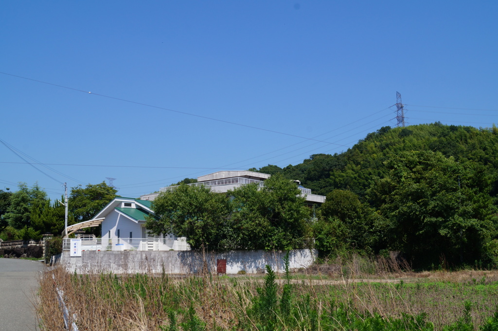 DSC01243