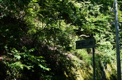 DSC01235