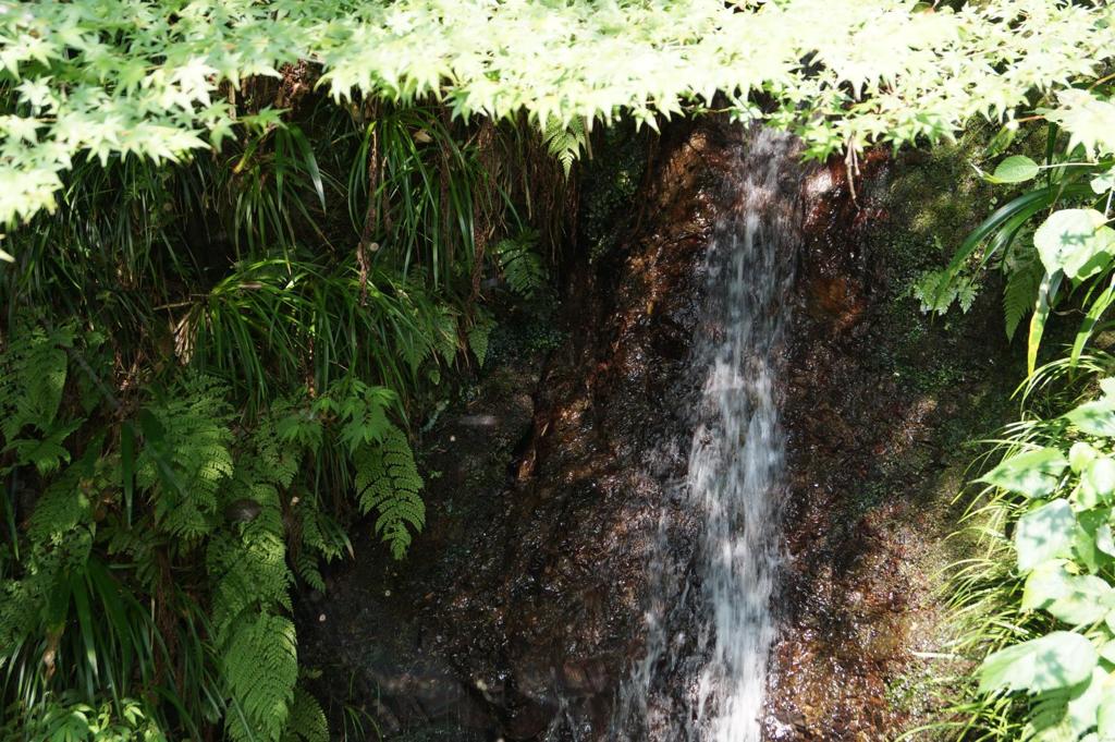 9898905043_42a1db2957_o