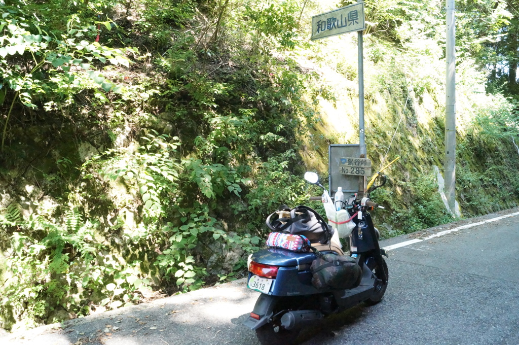DSC01238