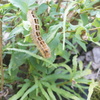 DSC01292