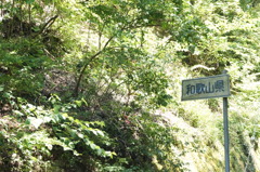 DSC01236