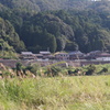 DSC01493
