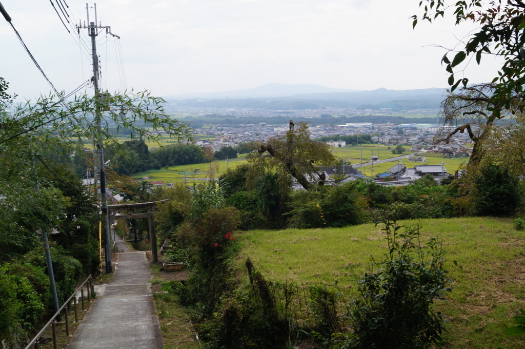 DSC01500