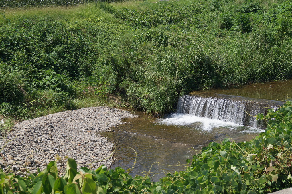 DSC01245