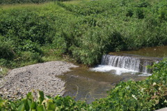 DSC01245