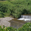 DSC01245