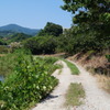 DSC01248