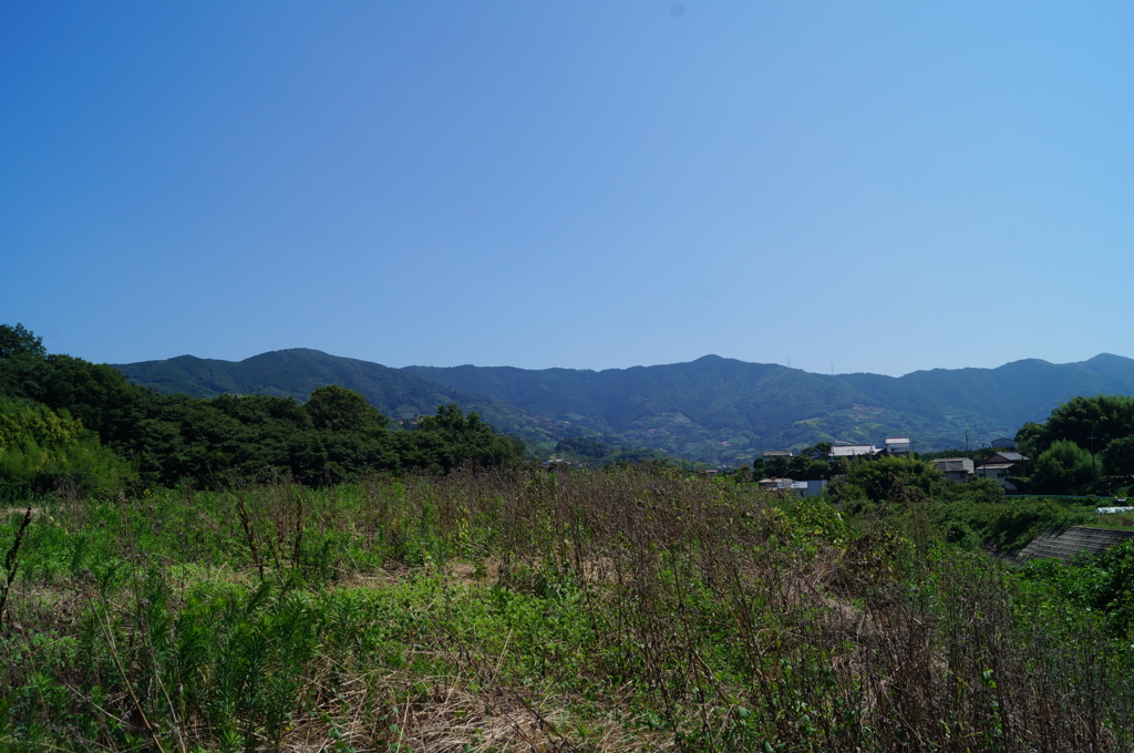 DSC01244