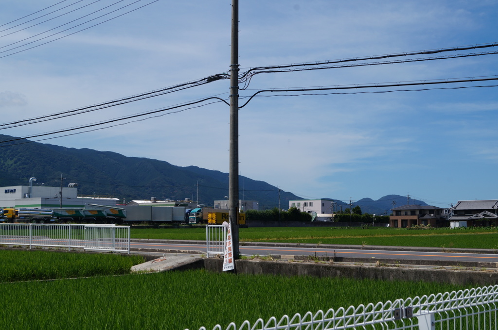 DSC01217