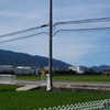 DSC01217