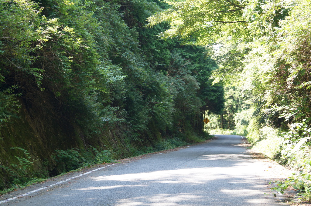 DSC01230