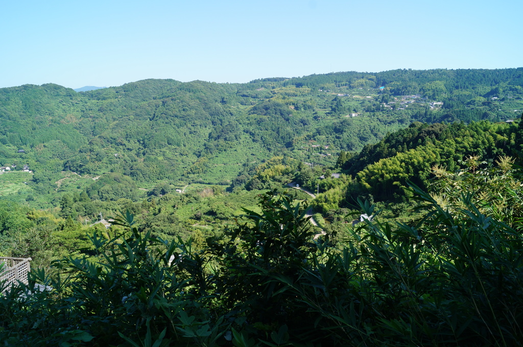 DSC01254