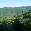 DSC01254
