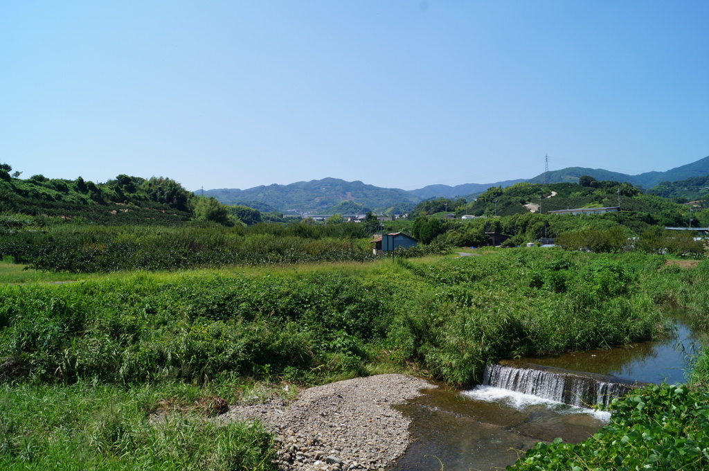 DSC01249