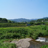 DSC01249