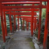 DSC01508
