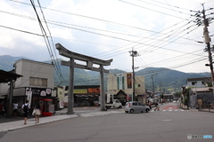 湯布院の道路に・・・！！
