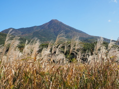 ススキと筑波山